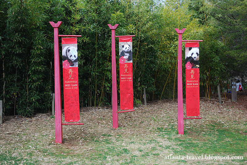 Панда Май Лан panda Mei Lan